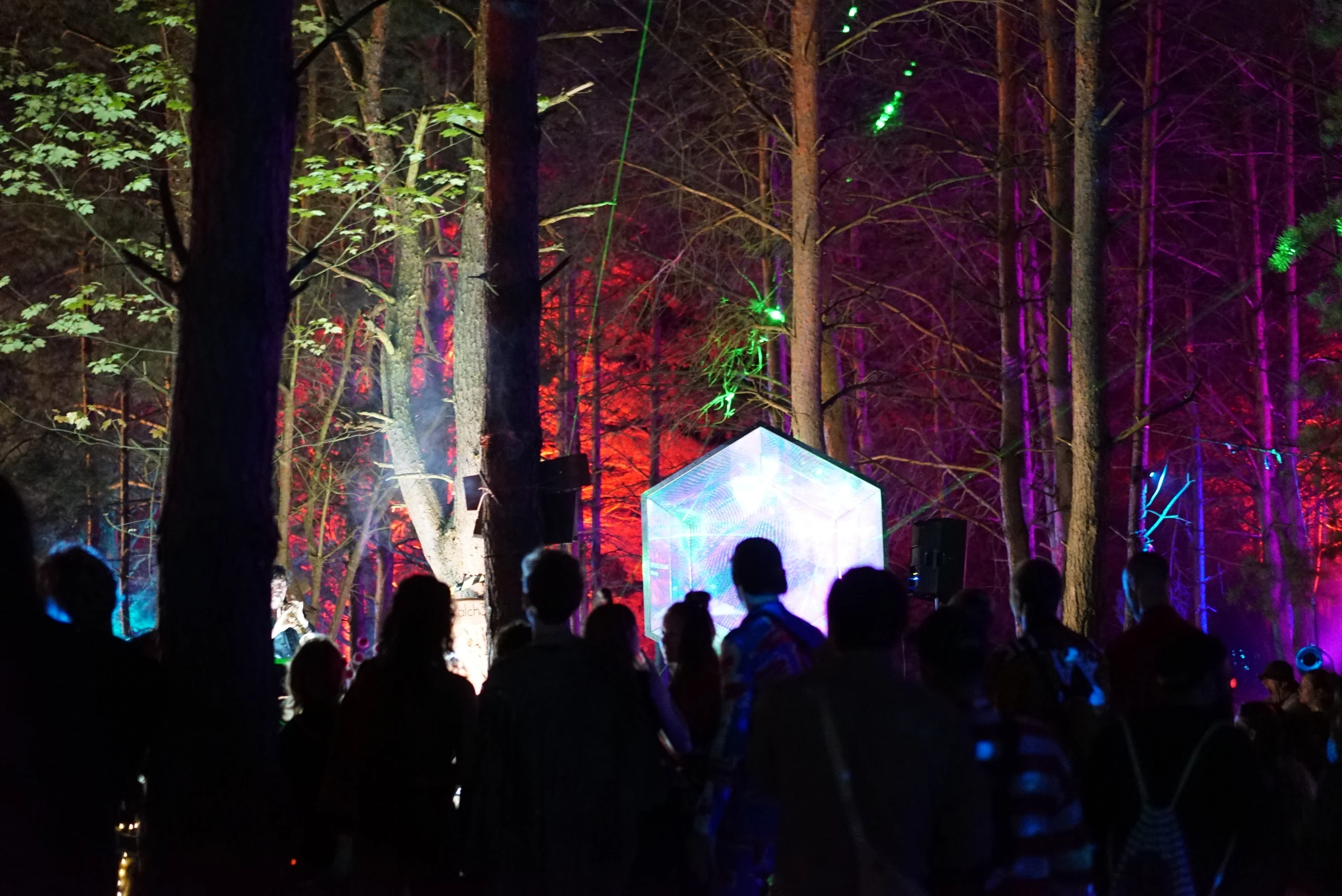A crowd gathered around Gateway Mini among the colourful trees of Nerd Wald