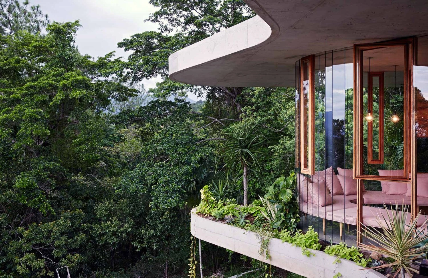 Curved terrace extending into the rainforest