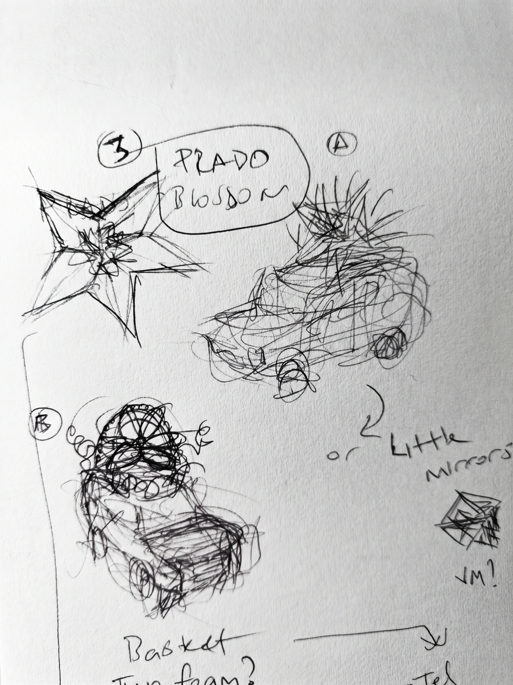 A black-and-white working drawing of the blossom above the Toyota Prado, with petal and mirror studies