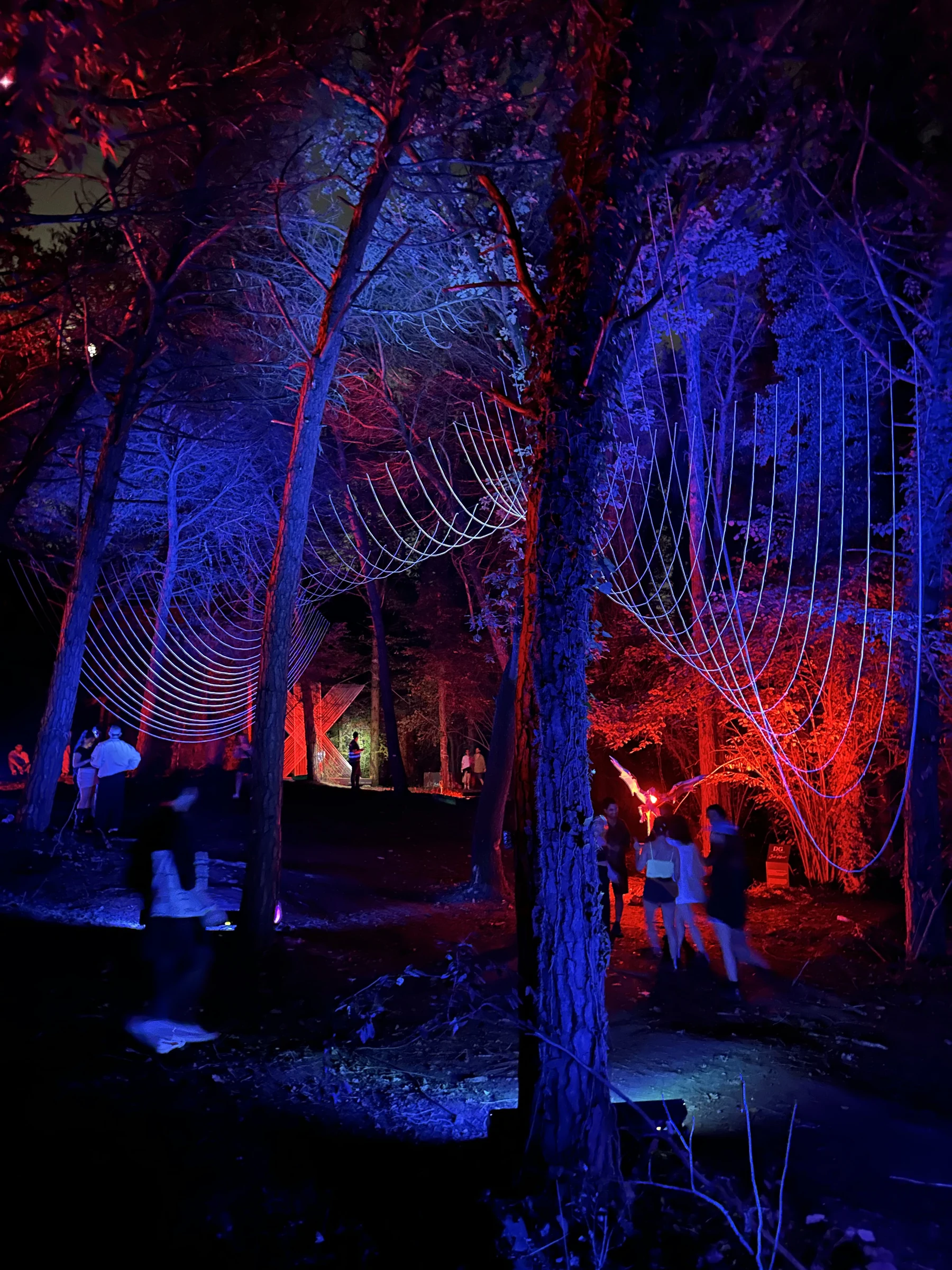 The finished Curvature installation suspended among the trees, with visitors beneath its blue-lit curves