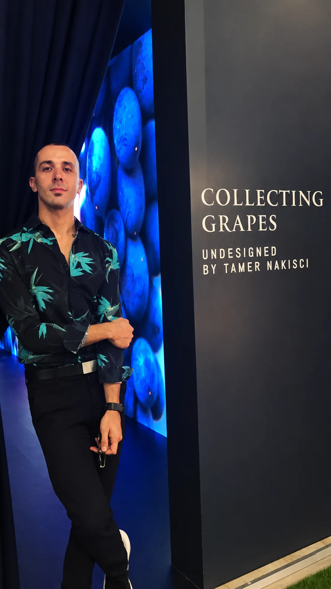 The entrance to Collecting Grapes at Contemporary Istanbul